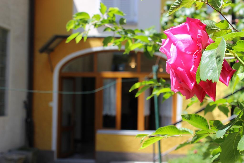 Rose Apartment By Quokka 360 - Refined Two-Bedroom Apartment With Garden Lugano Luaran gambar
